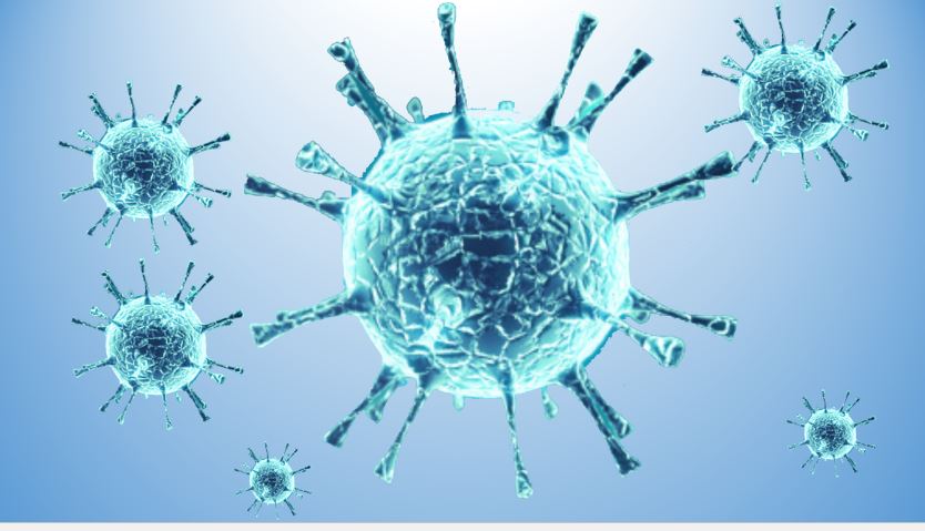 Human enteroviruses